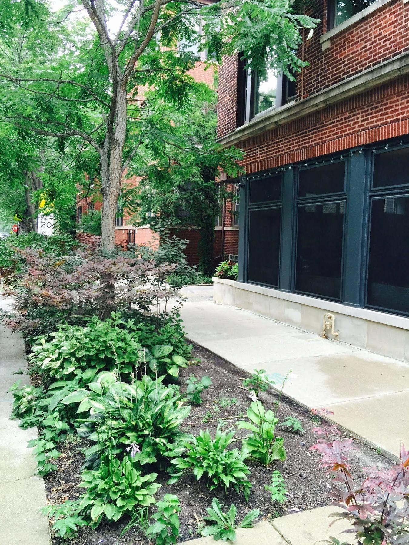 House 5863- Chicago'S Premier Bed And Breakfast Екстер'єр фото